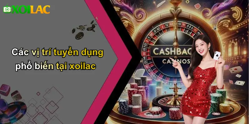 Các vị trí tuyển dụng phổ biến tại xoilac
