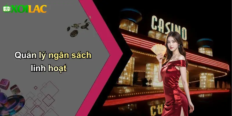 Quản lý ngân sách linh hoạt
