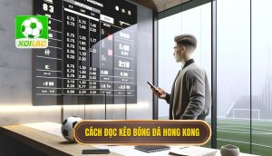 Cách đọc kèo bóng đá theo tỷ lệ Hong Kong