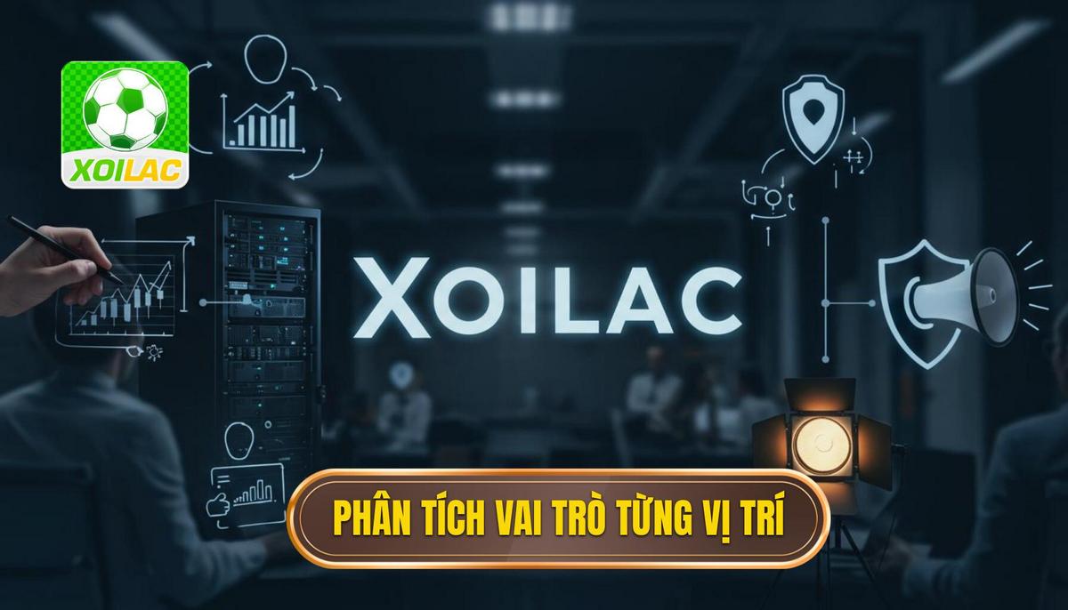 Phân tích chi tiết vai trò từng vị trí