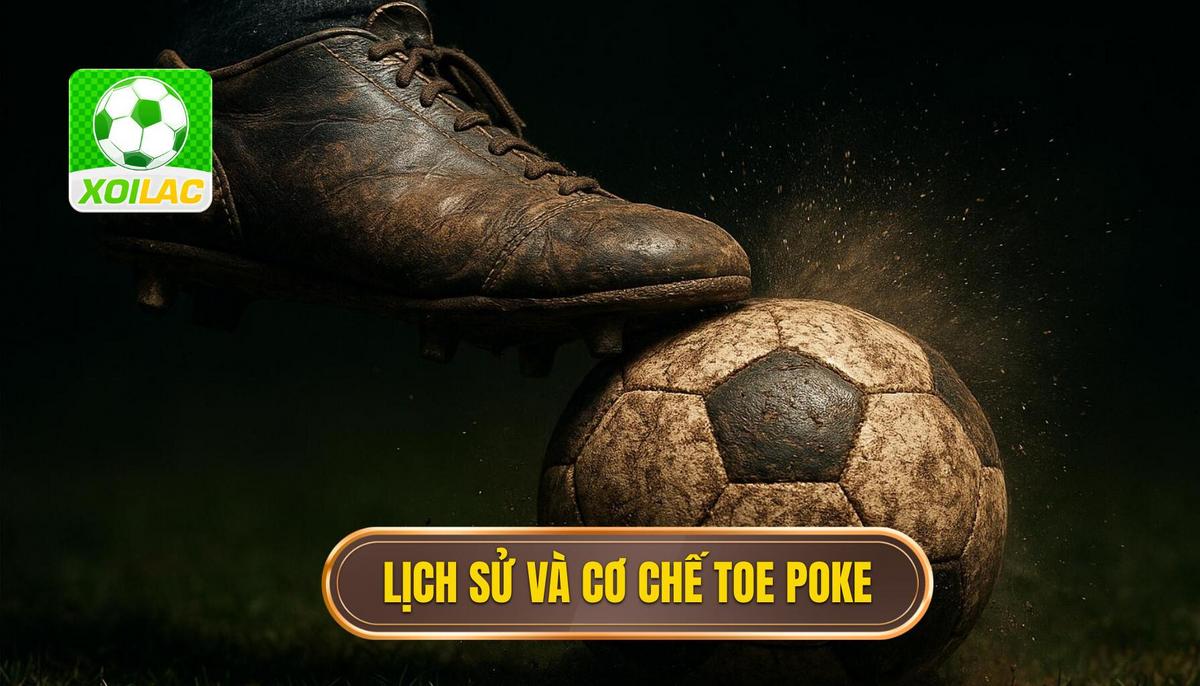 Lịch sử và Cơ chế tạo lực của Toe Poke