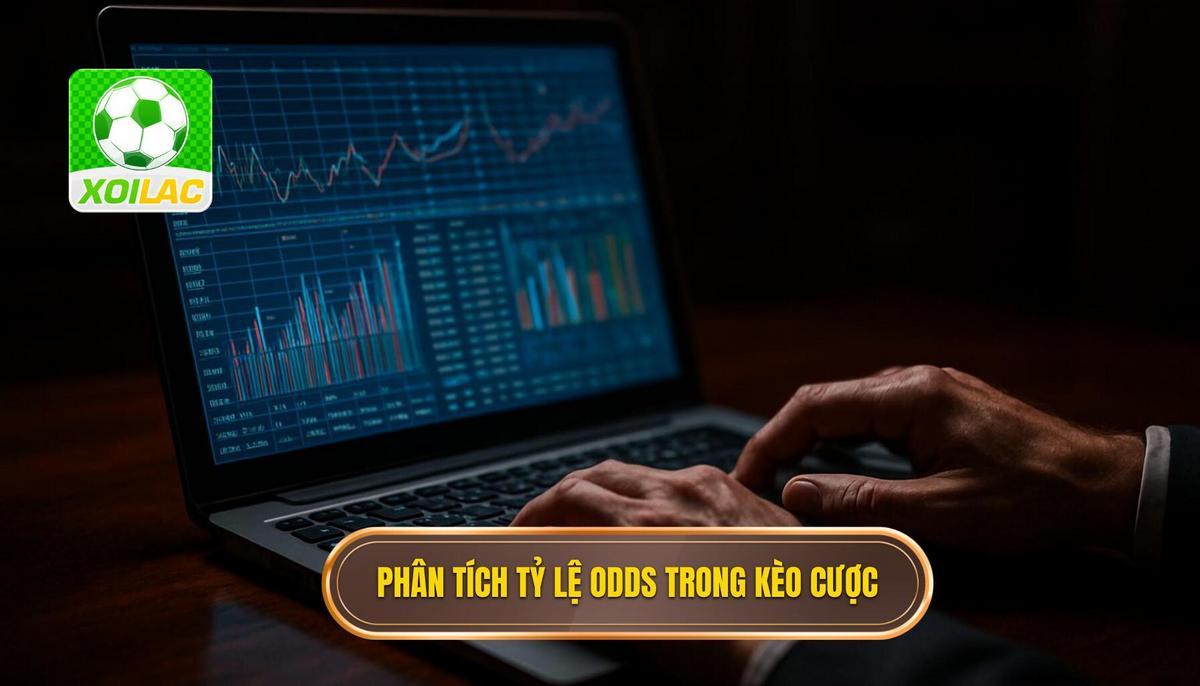Phân tích cấu trúc tỷ lệ Odds trong kèo thắng hòa thua