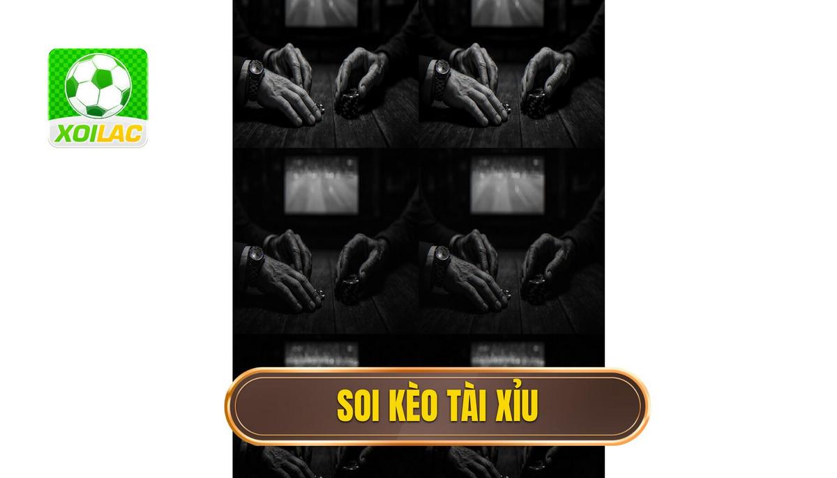 thumb - soi kèo tài xỉu