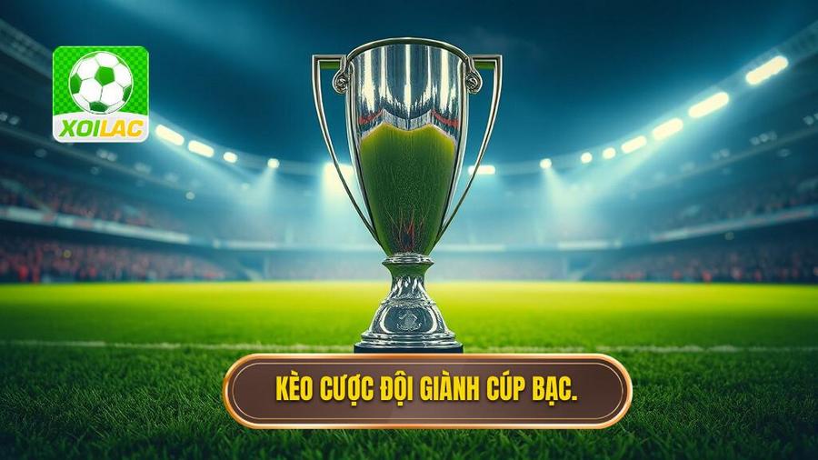 1. Kèo cược đội giành cúp bạc. Kèo cược đội giành cúp bạc
