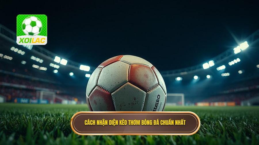 2. Cách nhận diện kèo thơm bóng đá chuẩn nhất
