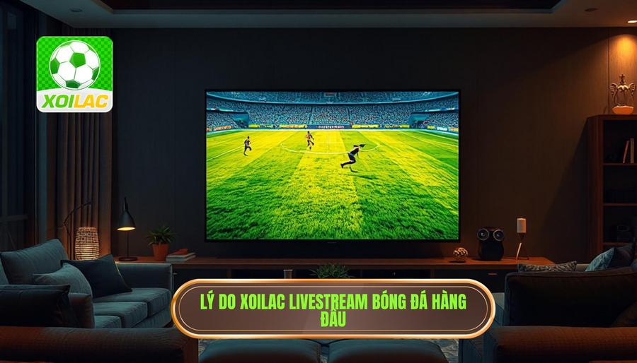 Tại sao Xoilac livestream bóng đá trở thành lựa chọn hàng đầu? Tại sao Xoilac livestream bóng đá trở thành lựa chọn hàng đầu?