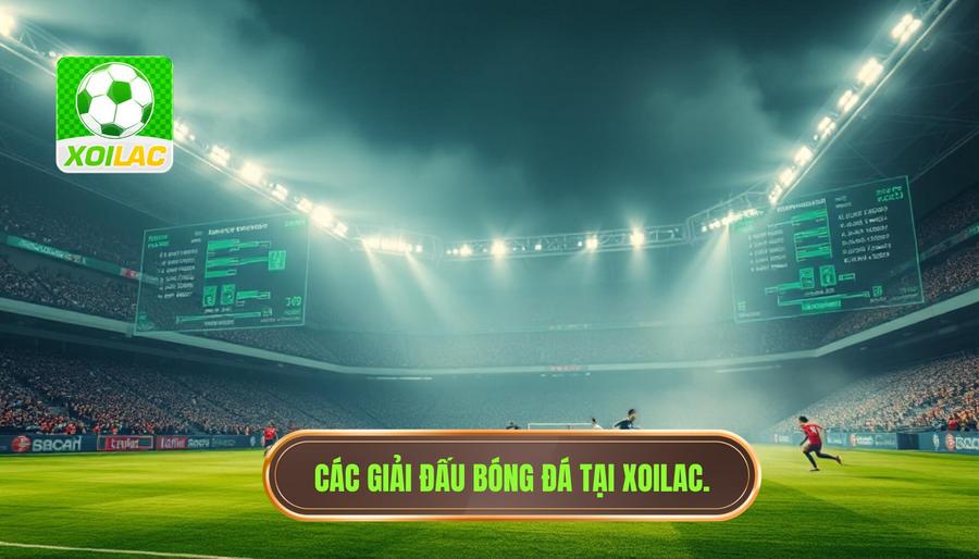 Danh mục các giải đấu tại Xoilac trực tiếp bóng đá hôm nay Danh mục các giải đấu tại Xoilac trực tiếp bóng đá hôm nay