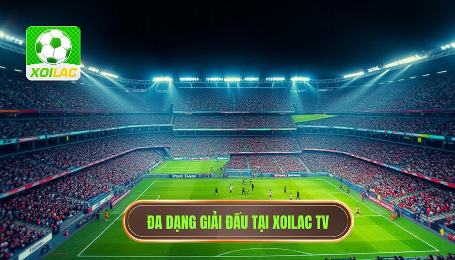 Danh mục giải đấu phong phú tại Xoilac livestream bóng đá Danh mục giải đấu phong phú tại Xoilac livestream bóng đá
